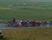 006s.jpg